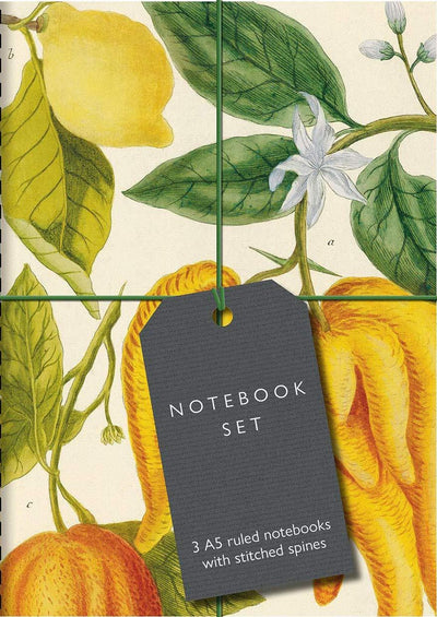 Botanical Art Notebook Set available to buy at Museum Bookstore