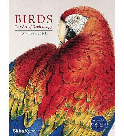 Birds : The Art of Ornithology (boxed set) - the exhibition catalogue from Natural History Museum available to buy at Museum Bookstore