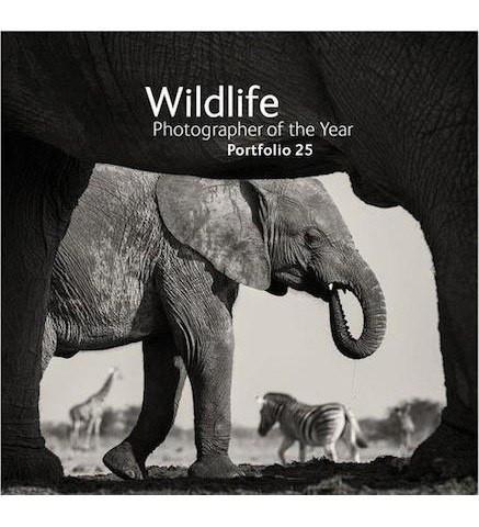 Wildlife Photographer of the Year : Portfolio 25 – Museum