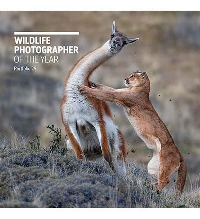 Wildlife Photographer of the Year : Portfolio 29 - the exhibition catalogue from Natural History Museum available to buy at Museum Bookstore