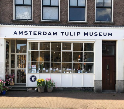 Museum Spotlight: The Amsterdam Tulip Museum