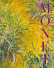 Monet : Beyond the Horizon available to buy at Museum Bookstore