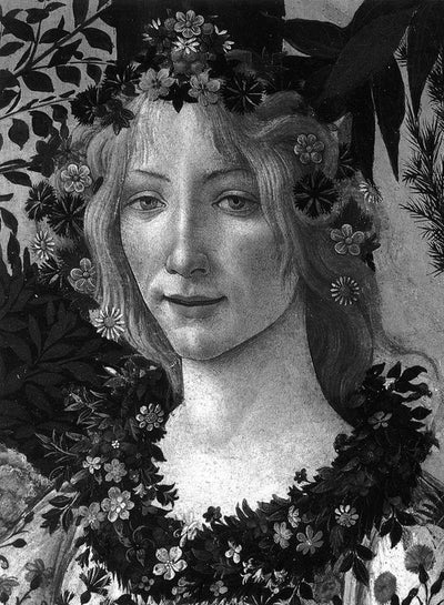 Botticelli available to buy at Museum Bookstore