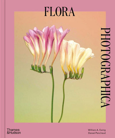 Flora Photographica : The Flower in Contemporary Photography available to buy at Museum Bookstore
