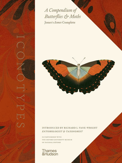 Iconotypes : A compendium of butterflies and moths. Jones's Icones Complete available to buy at Museum Bookstore