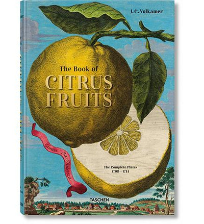 JC Volkamer : The Book of Citrus Fruits available to buy at Museum Bookstore