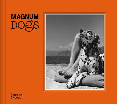 Magnum Dogs available to buy at Museum Bookstore