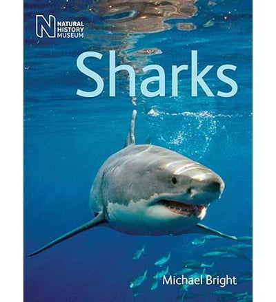 Sharks - the exhibition catalogue from Natural History Museum available to buy at Museum Bookstore