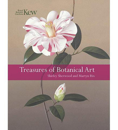 Treasures of Botanic Art - the exhibition catalogue from Royal Botanic Gardens, Kew available to buy at Museum Bookstore