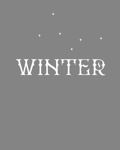 Winter available to buy at Museum Bookstore